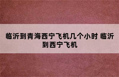 临沂到青海西宁飞机几个小时 临沂到西宁飞机